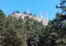 Buscarán