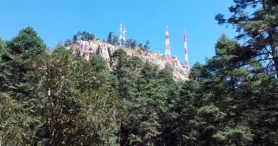 Buscarán