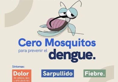 Monitorea
