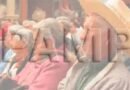 ¿Quién dijo yo, para conformar un partido de adultos mayores?