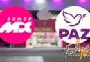 Cosecha política