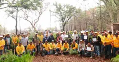 SEDEA inicia temporada de reforestación en el estado SEDEA