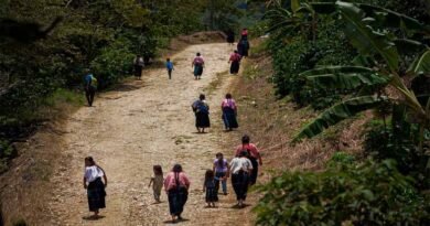 Pueblos indígenas de Chiapas denuncian despojo territorial Pueblos
