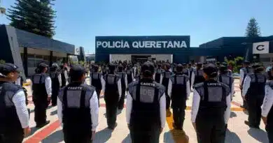 CECAFIS acerca el modelo de profesionalización a la ciudadanía CECAFIS