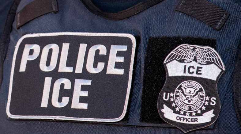 Propone que agentes de ICE lleven guantes que den descargas eléctricas 1 guantes