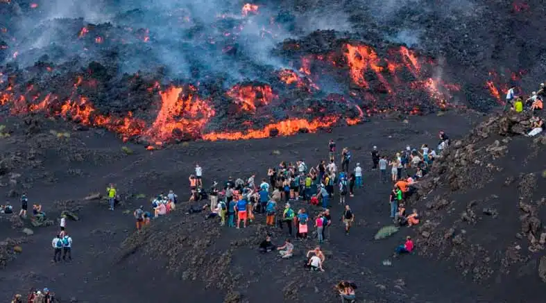 Turista