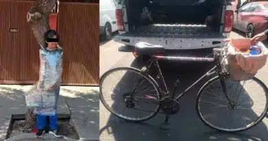Vecinos