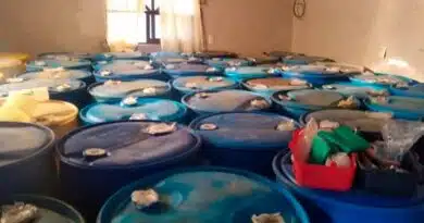 Decomisan 20 mil 900 litros de huachicol en Pachuca, Hidalgo Decomisan