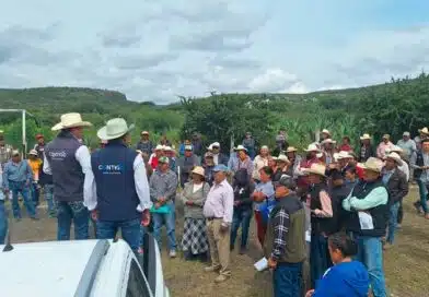 SEDEA
