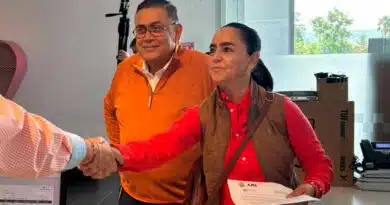 Tere Calzada impulsa iniciativa para regular la pirotecnia Tere Calzada