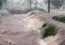 fenómeno