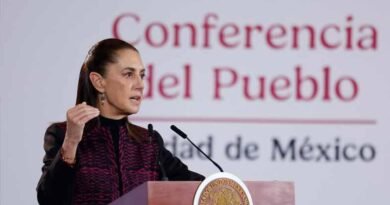 59 millones de litros de combustible asegurados en Guanajuato son legales: CSP 59 millones
