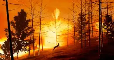 Los Ángeles se prepara para un fenómeno «El Niño» sin precedentes Los Ángeles