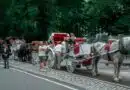 Nueva York