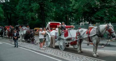 Nueva York se encamina a prohibir los carruajes a partir de 2028 Nueva York