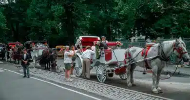 Nueva York