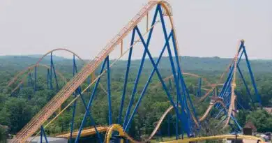 Six Flags
