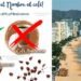 Acapulco