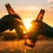 Cerveza