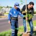 reforesta Av.